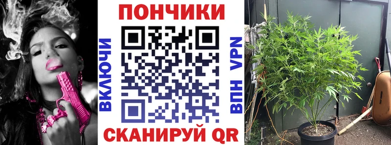 Где найти наркотики Южноуральск КОКАИН  МЕФ  Гашиш  СК  Конопля 