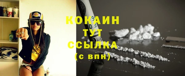 дживик Майский
