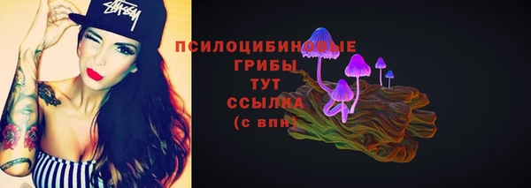 СК Липки