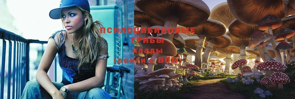 а пвп мука Магас