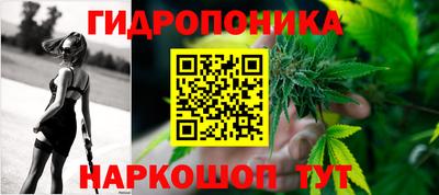 mdma Новодвинск