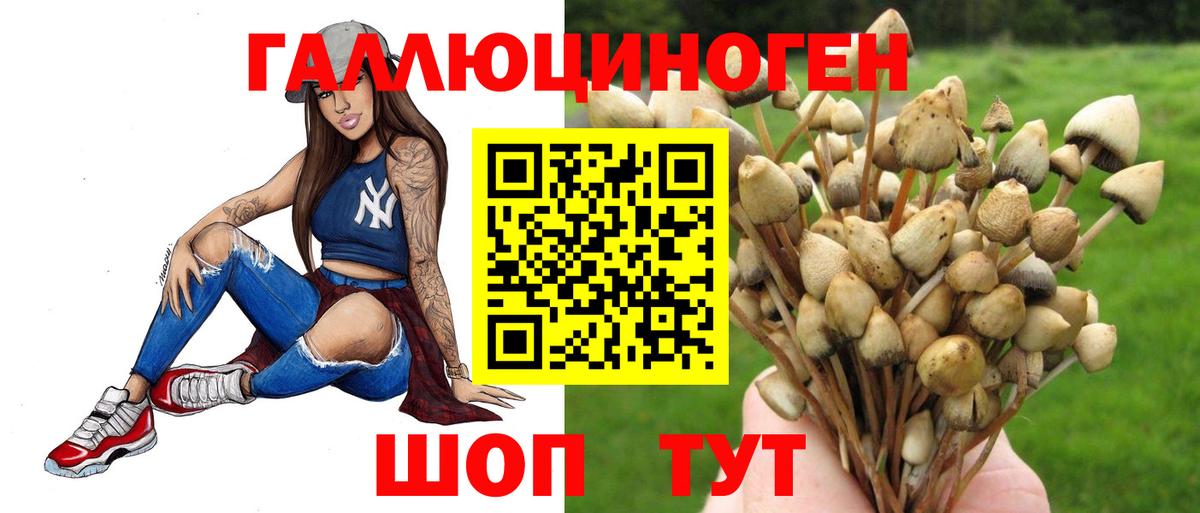 Галлюциногенные грибы Psilocybine cubensis Южноуральск