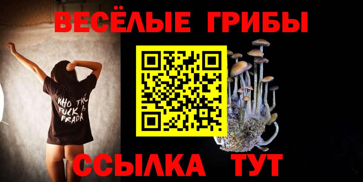 цены наркотик  Галлюциногенные грибы Magic Shrooms  Вход с VPN  Южноуральск  Галлюциногенные грибы MAGIC MUSHROOMS 